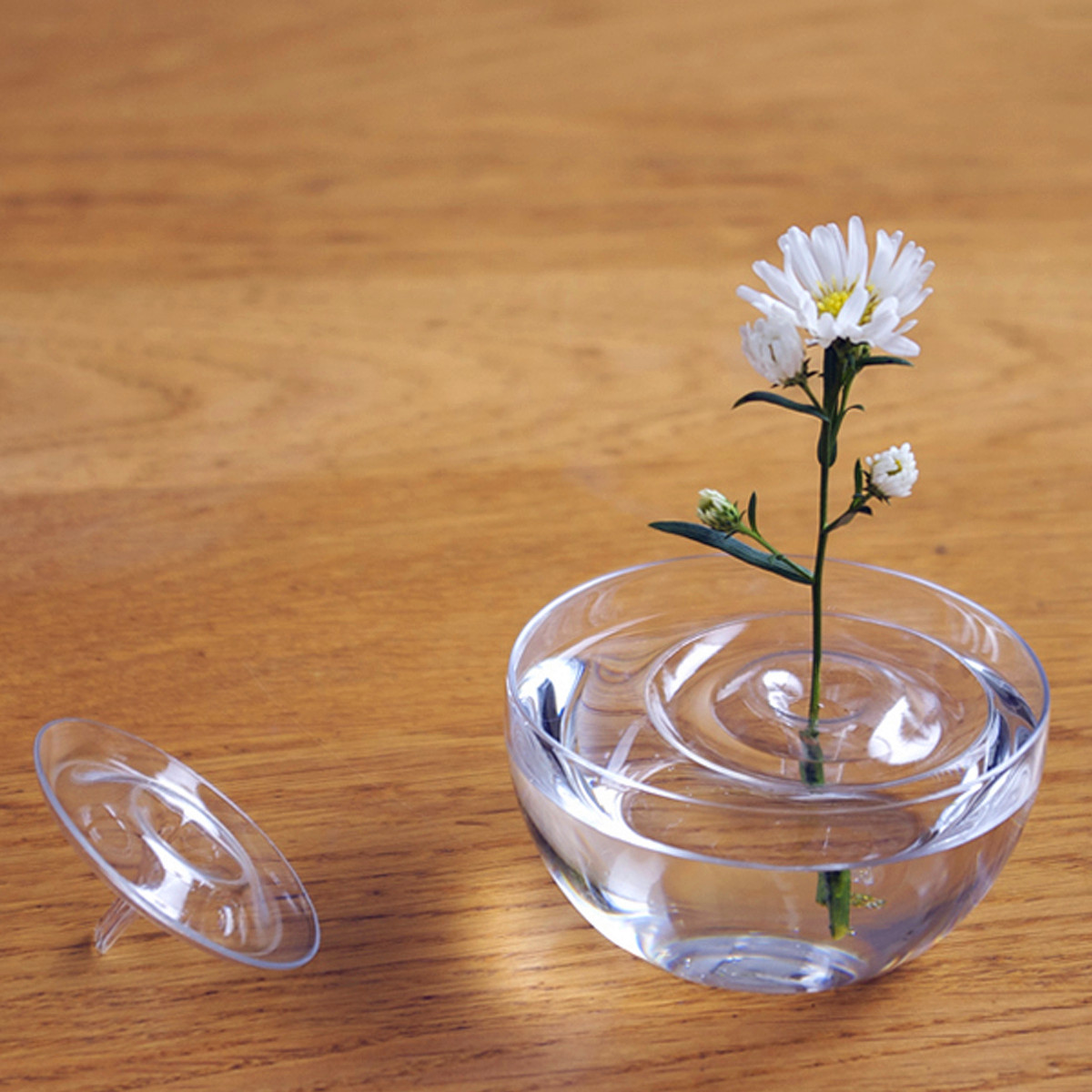 

Clear Floating Растение Vaсе Пластина Блюдо Творческая водная волна Прозрачная стеклянная чаша Украшение
