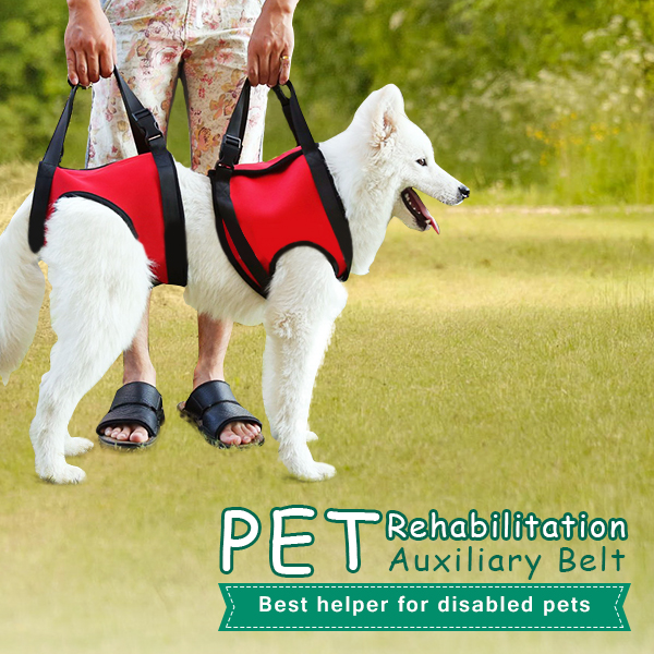 Pet Auxiliary Belt Dog Harness Carriers Assist Sling Portable Lift Security Support Rehabilitation Belt
