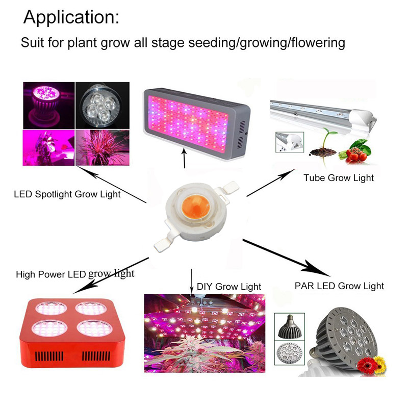 5pcs ZX 3W Full Spectrum Plant Growing DIY LED Lamp Chip Garden Greenhouse Seedling Lights