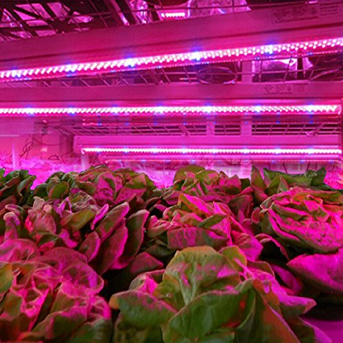 30W DC 12V 25 Red 5 Blue Flexible Soft LED Grow Light Bar for Indoor Garden Greenhouse Plants