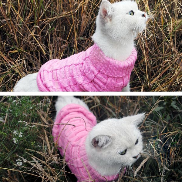 Solid Color Pet Dog Cat Knitted Breathable Warm Sweater Winter Outwear ...