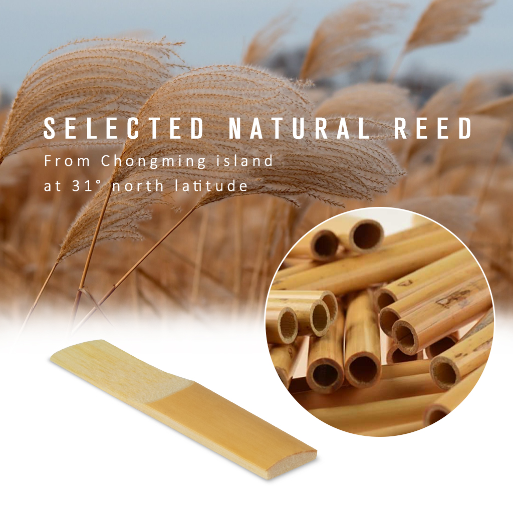 NAOMI 10pcs/1pack NC-01 Eb Clarinet Reeds Traditional Reeds Strength 2.0 B Flat Clarinet Reeds