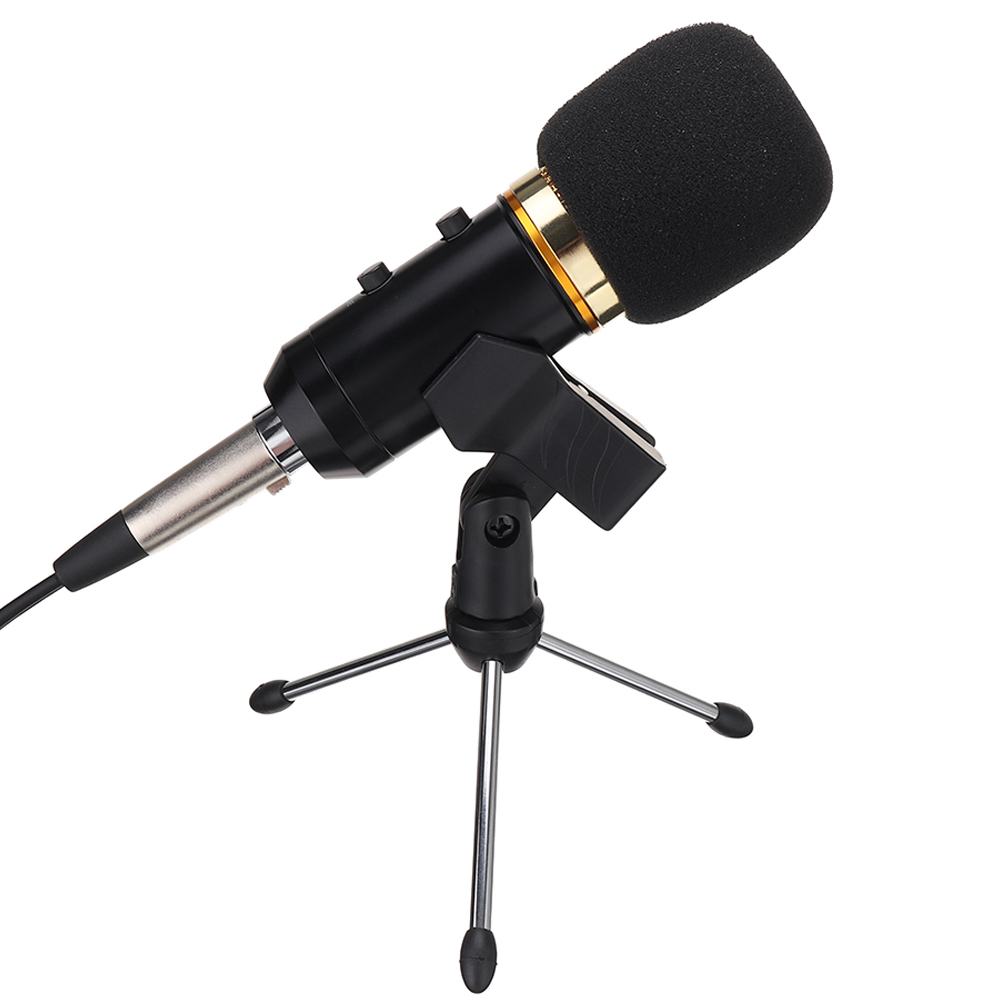 BM800 USB Condenser Microphone with Echos Changes