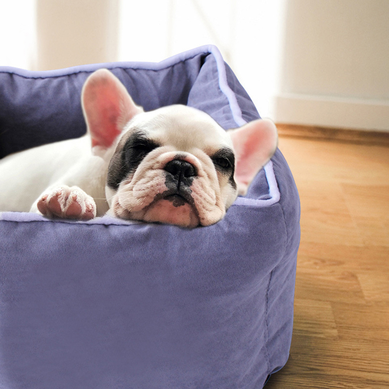 

6 цветов Pet Собака Кот Площадь Soft Спящая Коробка Портативный Чистый цвет Pet кровать