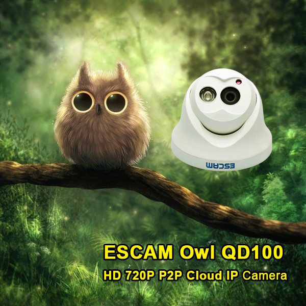 Escam ET QD530 HD720P P2P Cloud IR IP D