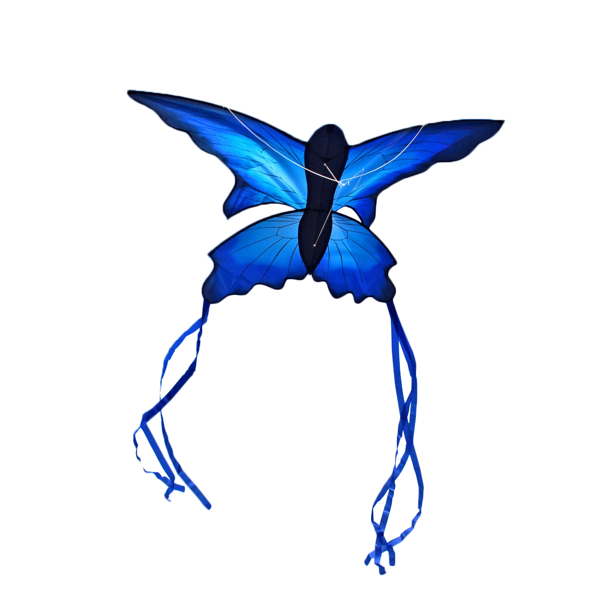 

70x150cm Blue Beautiful Butterfly Kite На открытом воздухе Веселая спортивная летная игрушка с 30-миллиметровой панелью управления и линией