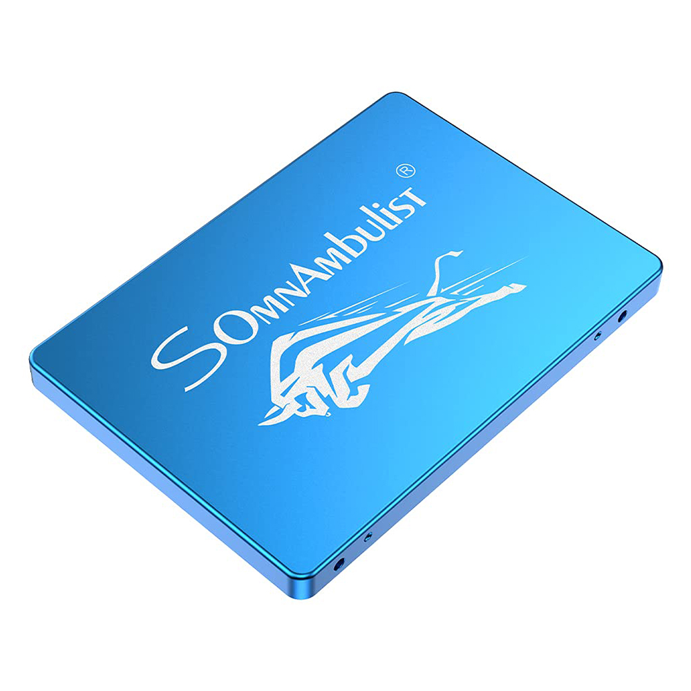 Somnambulist 2.5 inch SATA III SSD 120GB/256GB/512GB/2TB 3D NAND TLC Flash Solid State Drive Hard Disk for Laptop Desktop Computer Blue Bull Head