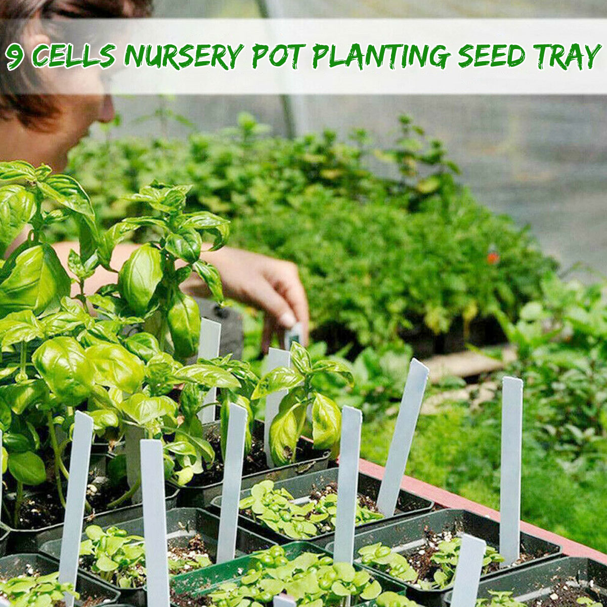 9 Holes Plastic Planting Box Set Nursery Pot Plant Grow Garden Germination Kit