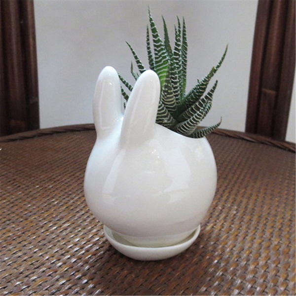 

Мини-кролик керамический сочный цветочный горшок сада фарфора блюдце декора сеялка