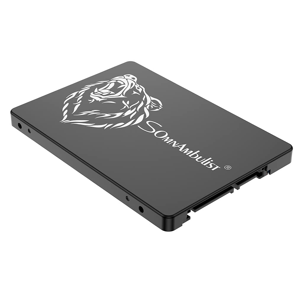Somnambulist 2.5 inch SATA III SSD 120GB/240GB/480GB/960GB TLC Nand Flash Solid State Drive Hard Disk for Laptop Desktop Computer Black Bear