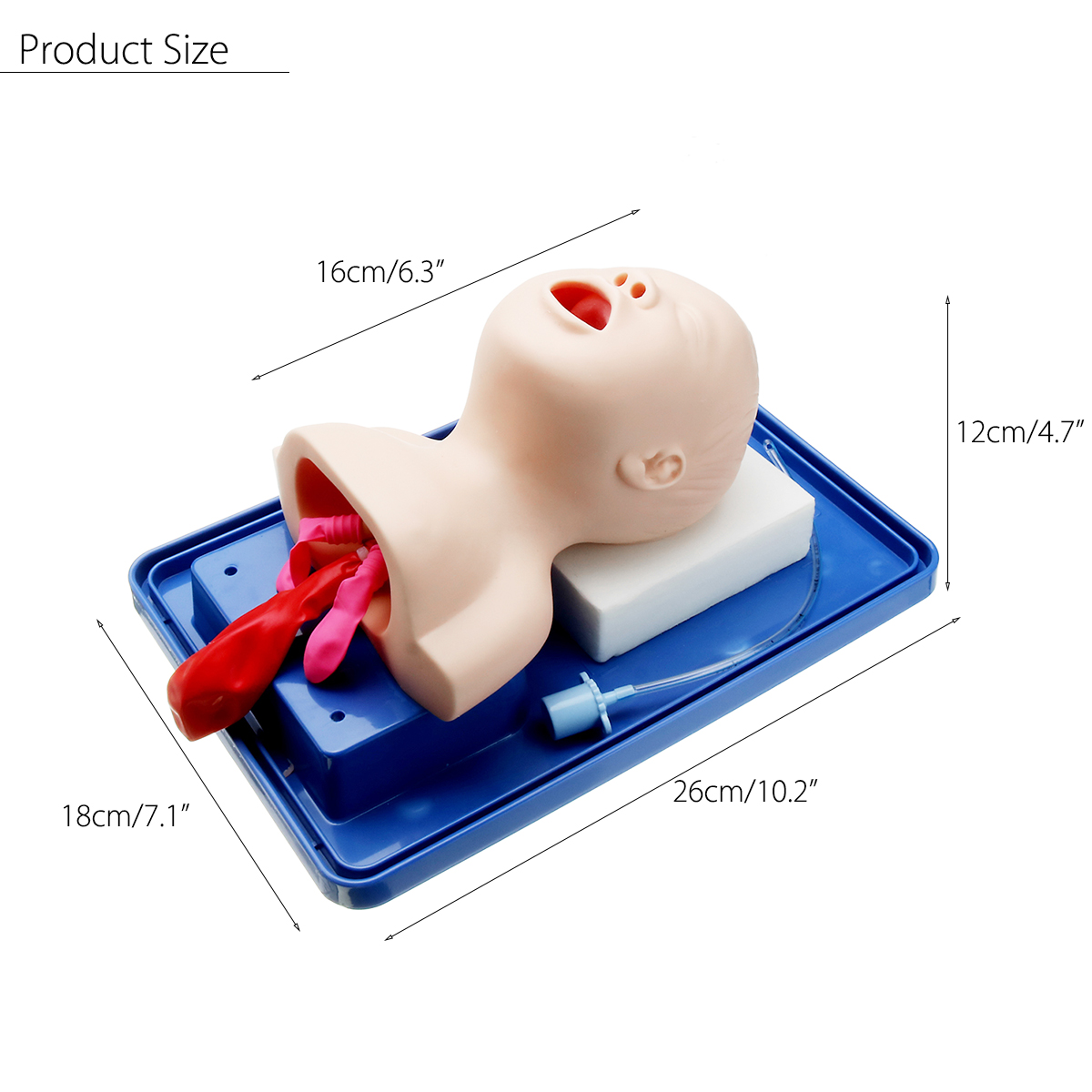 Intubation Manikin Study Teaching Model Baby Infant Airway Management Trainer Medical Model 15