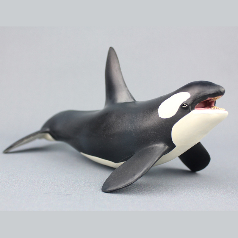 

Killer Whale Killer Whale Killer Whale Simulation Marine Life Plastic Whale Animal Diecast Model