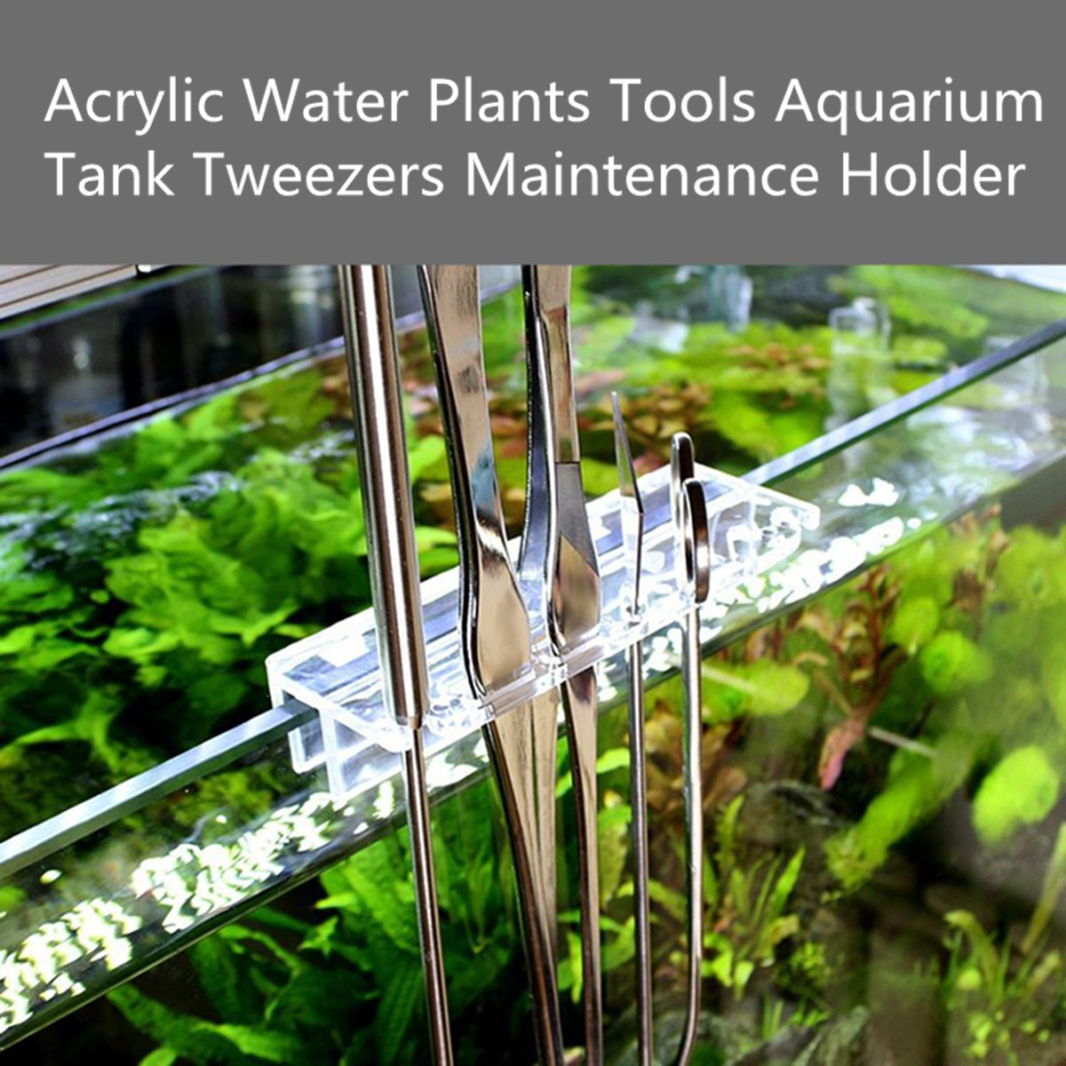 Acrylic Aquarium Fish Tank Aquatic Water Plants Pruning Tools Holder Rack