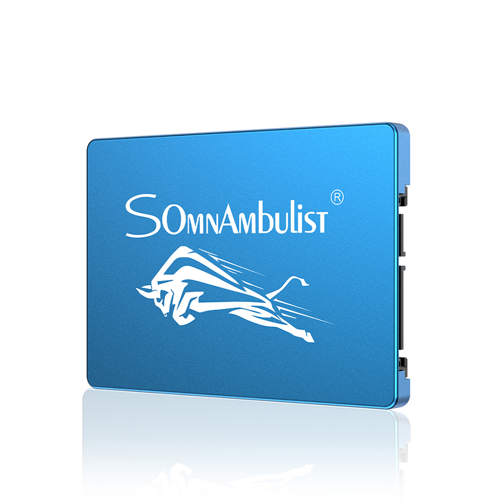 Somnambulist 2.5 inch SATA III SSD 120GB/256GB/512GB/2TB 3D NAND TLC Flash Solid State Drive Hard Disk for Laptop Desktop Computer Blue Bull Head