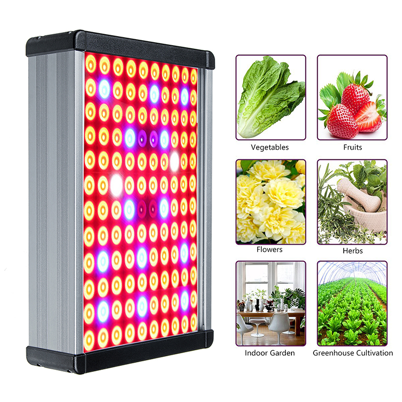 3000W LED Grow Light 13000 Lumens Plant Flower Full Spectrum Veg Flower Greenhouse Lamp