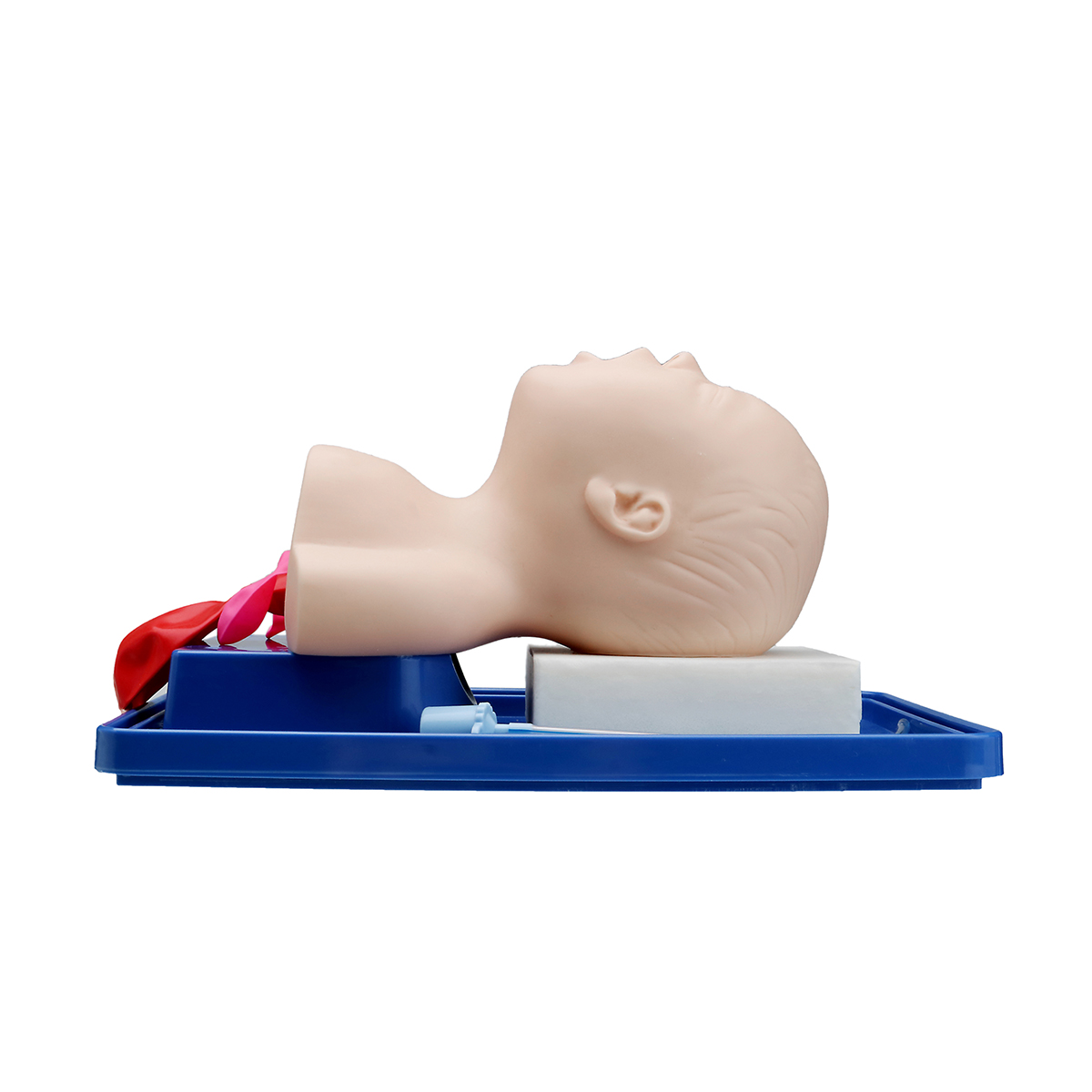 Intubation Manikin Study Teaching Model Baby Infant Airway Management Trainer Medical Model 12