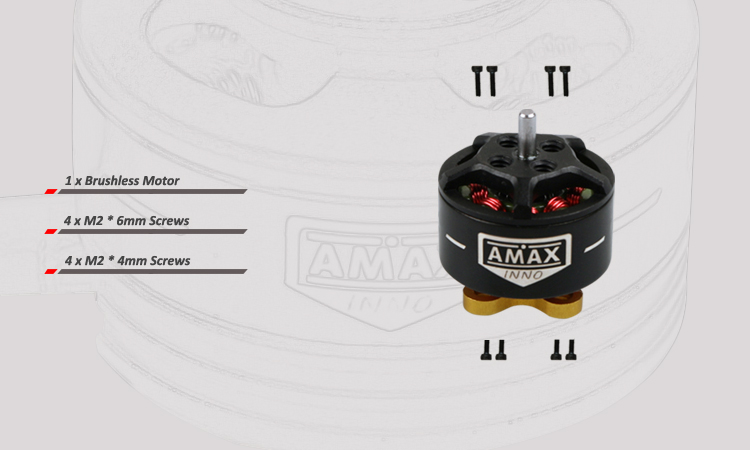 AMAXinno 1106 4300/6300KV 2-4S Brushless Motor for RC Drone FPV Racing 6.2g - Photo: 3