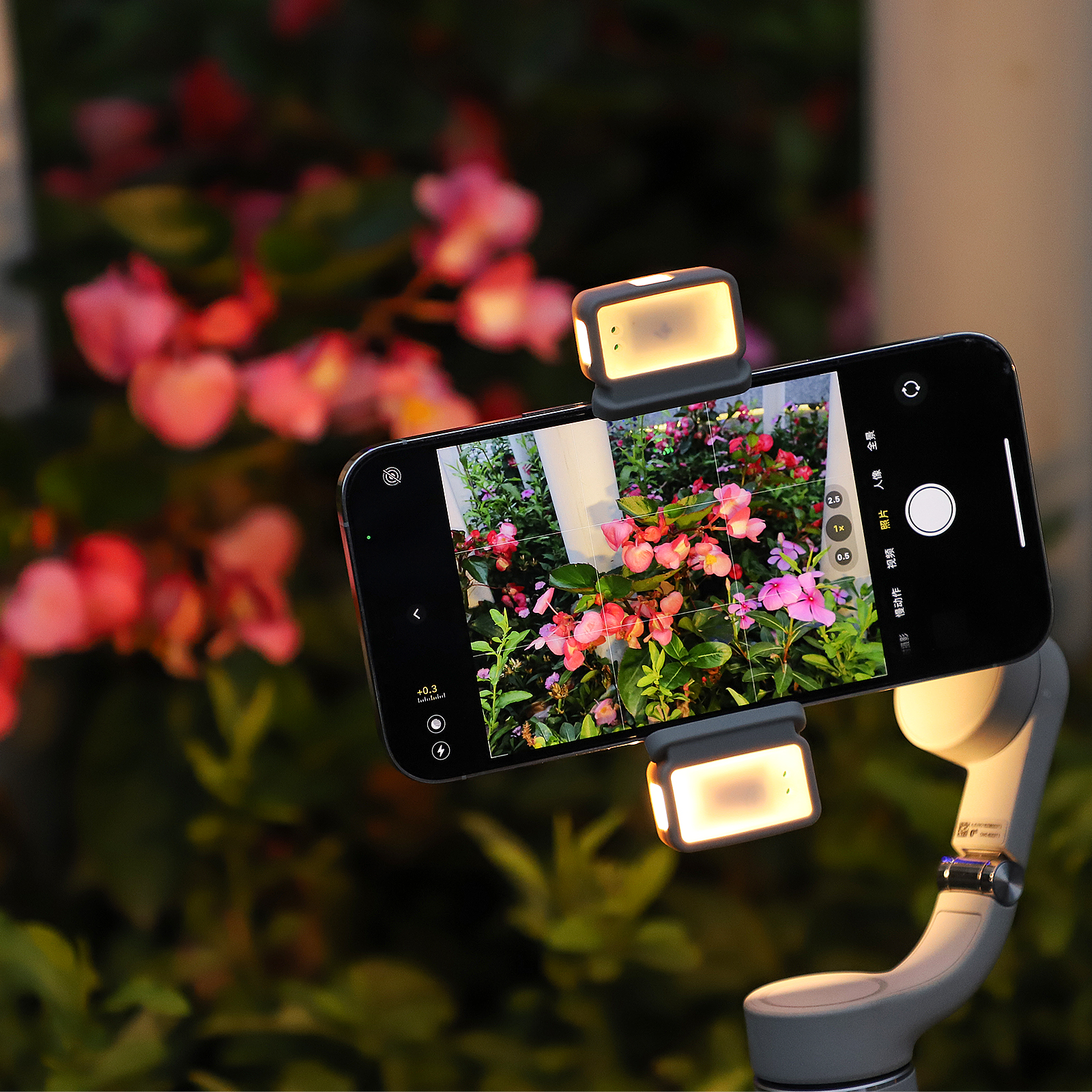 Sunnylife OM5/4SE Fill LED L375 Mini Vlog Soft Light with Rechargable Case