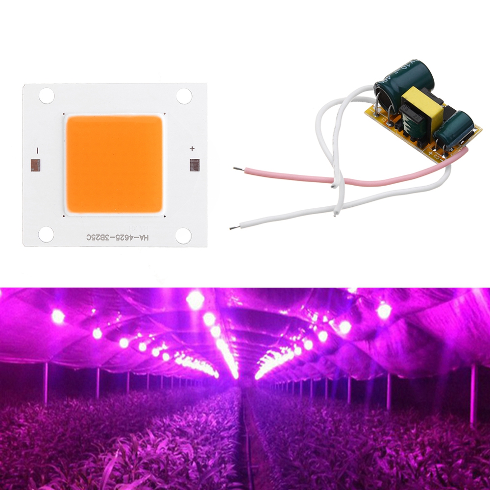 

20W 30W LED COB Grow Light Chip DIY with AC90-240V Driver Power Supply for Indoor Plant Flower