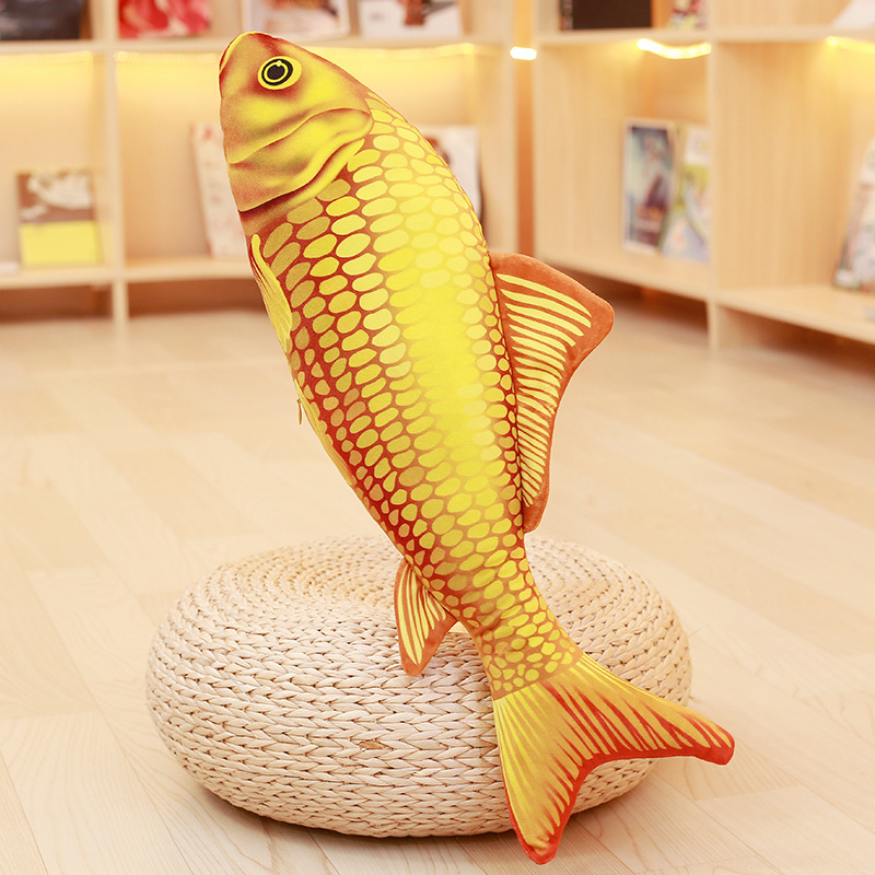 KCASA KC Taisho Showa Red White Gibel Carp Golden Koi Fish