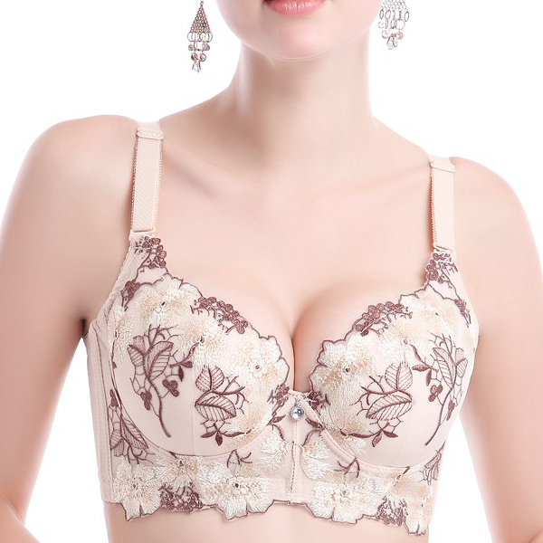 

Push Up Lace Floral Embroidery Bras Underwear Lingerie