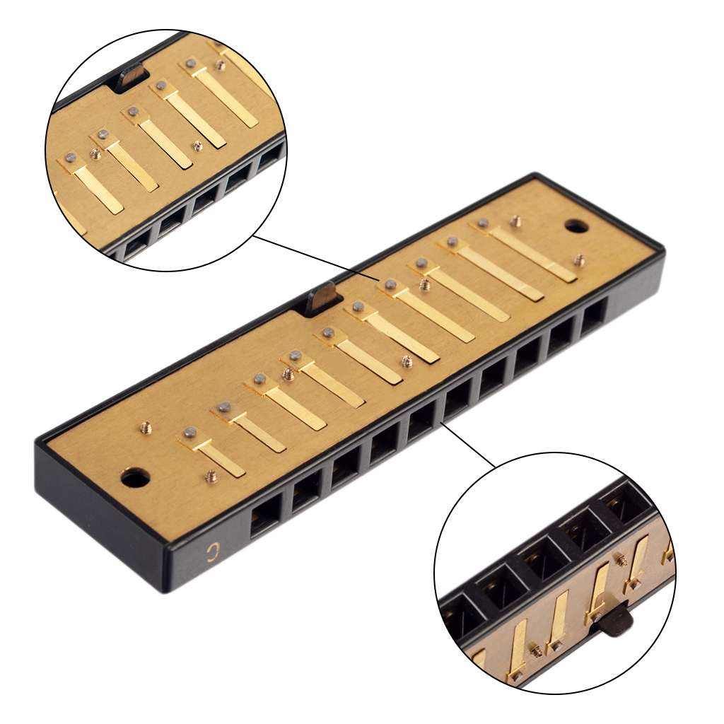 Naomi 10 Holes Harmonica Reed Replacement Reed Plates Key Of C Brass Reed Unfinished Harmonica Comb Woodwind Instrument Parts