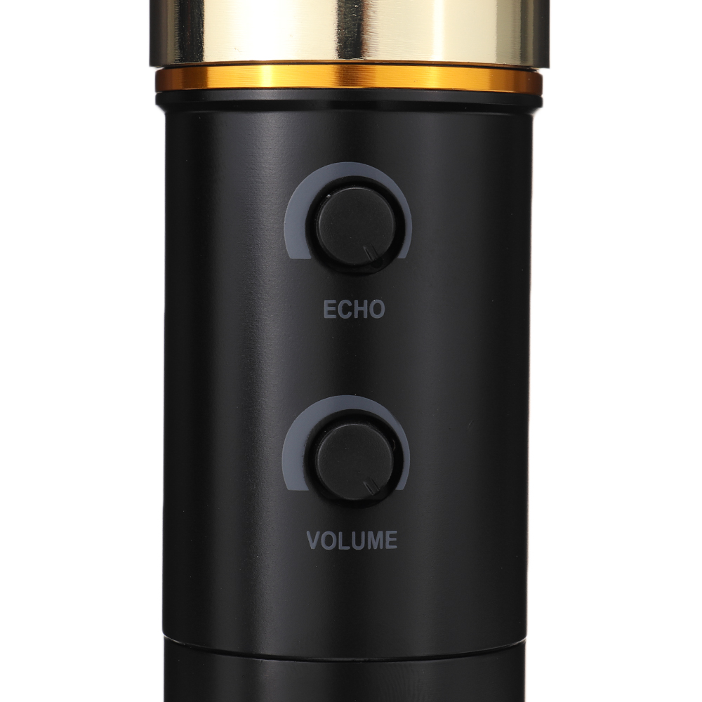 BM800 USB Condenser Microphone with Echos Changes