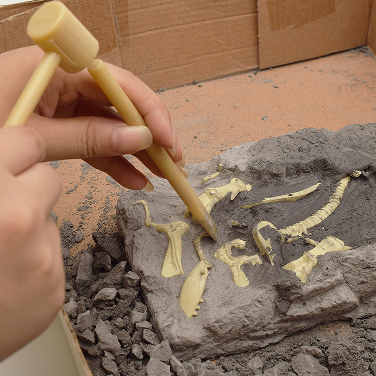

DIY Игрушка для динозавров, ископаемое литье, модель Набор Вице-Saurolophus Styracosaurus Diplodocus Ceratosaurus Spinosaurus