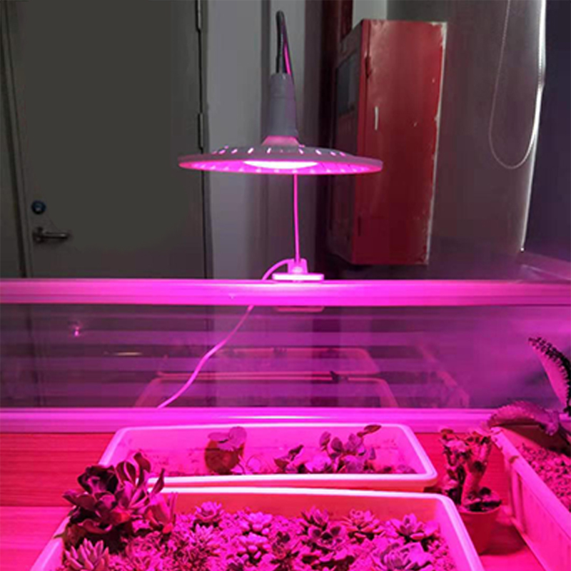 UFO 40w LED Plant Lamp Full Spectrum Cob Plant Growing Table Light Clip Switch Succulent Flower Fill Light Growth Lamp