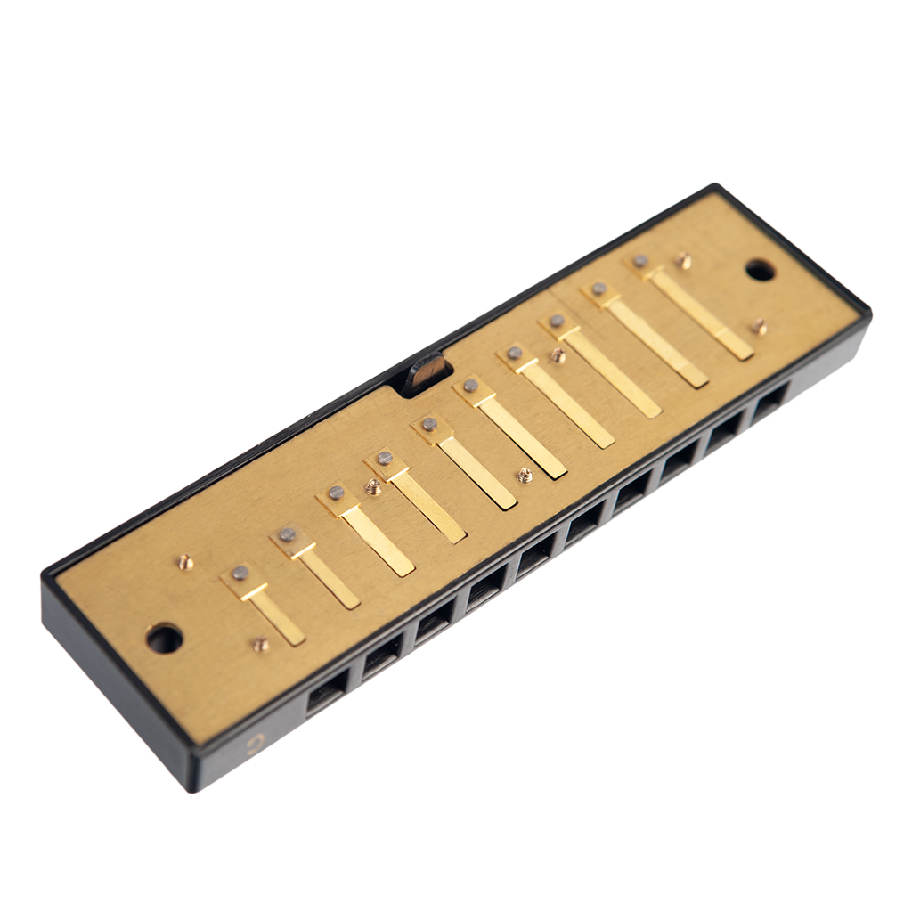 Naomi 10 Holes Harmonica Reed Replacement Reed Plates Key Of C Brass Reed Unfinished Harmonica Comb Woodwind Instrument Parts