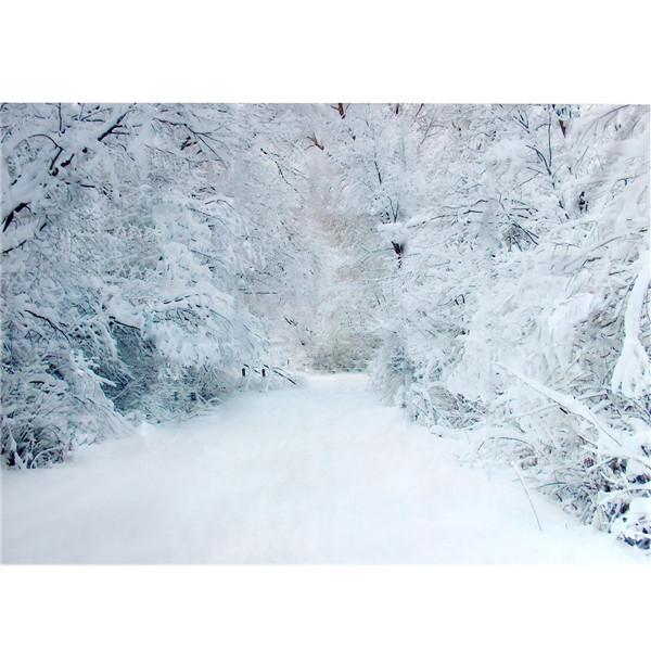 

2.1 х 1.5 м Рождество тяжелый снег деревья дорога в кривых фотостудия фон
