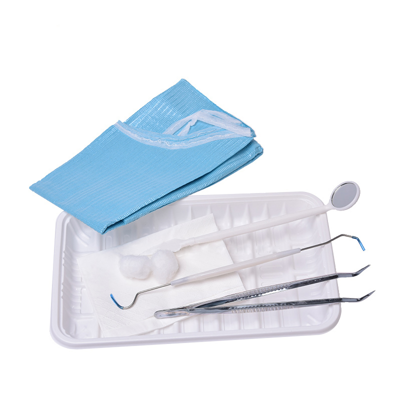 

10 Set Disposable Dental Inspection Tool Kit Oral Care Kit