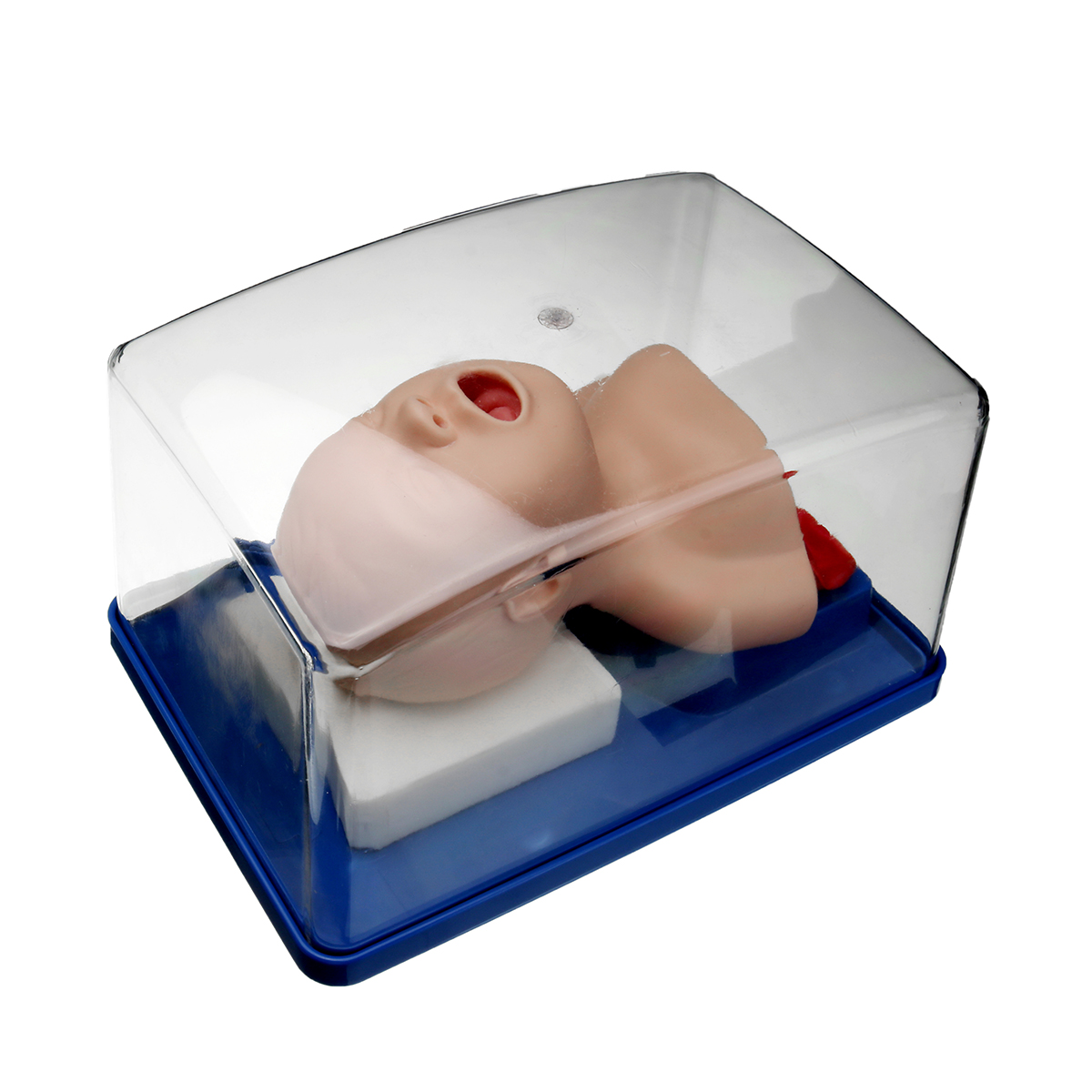 Intubation Manikin Study Teaching Model Baby Infant Airway Management Trainer Medical Model 13