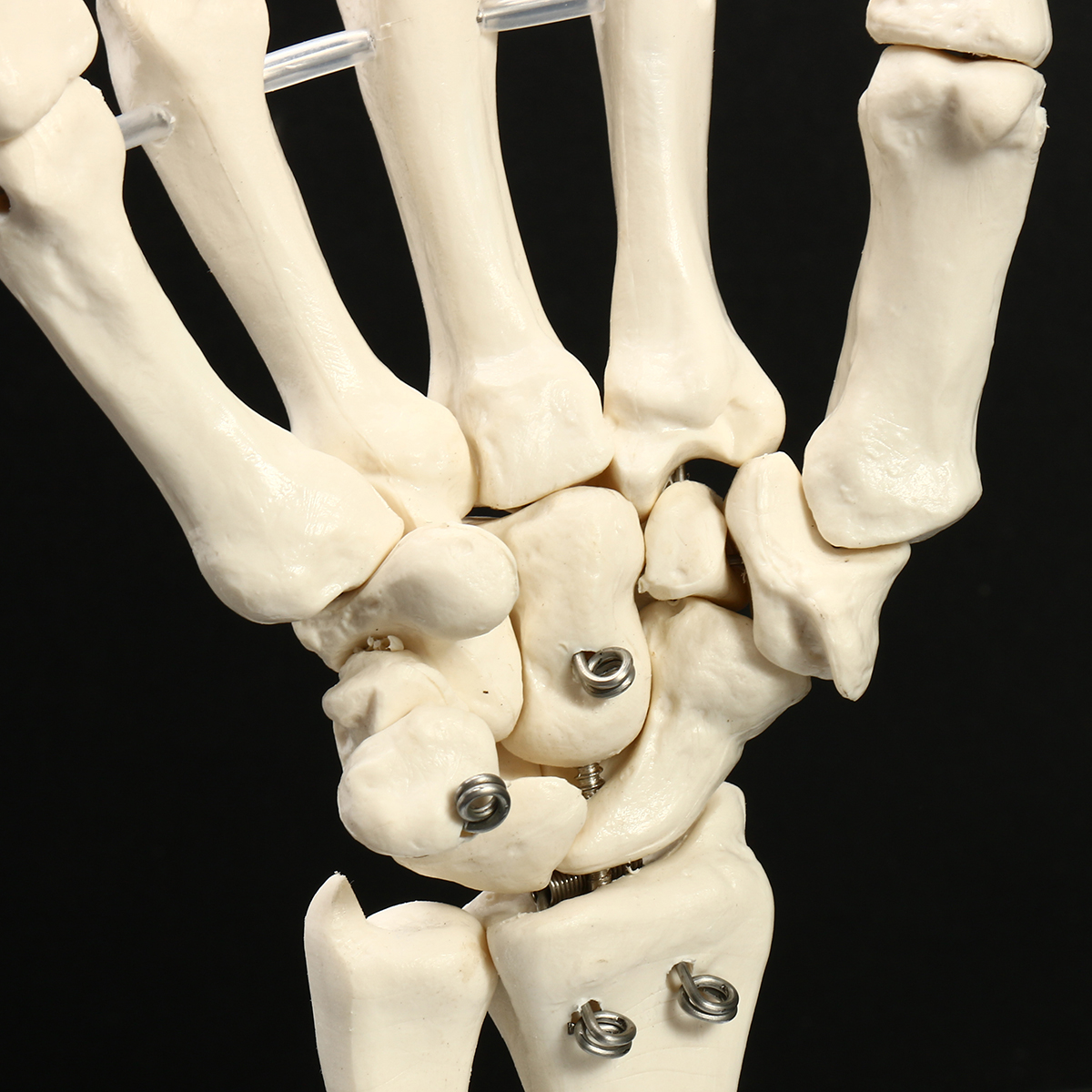 Скелет пальцев человека. Скелет запястья. Скелет руки. Кость руки. Человеческая кисть руки скелет.
