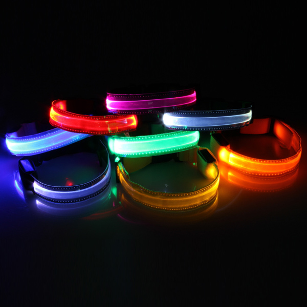 Transparent LED Pet Collar Night Safety Dog Flashing Collar